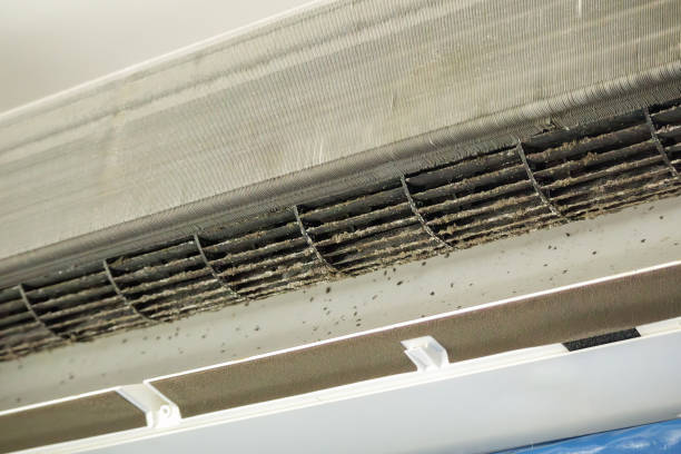 Best HVAC Duct Inspection Services  in Pu, HI